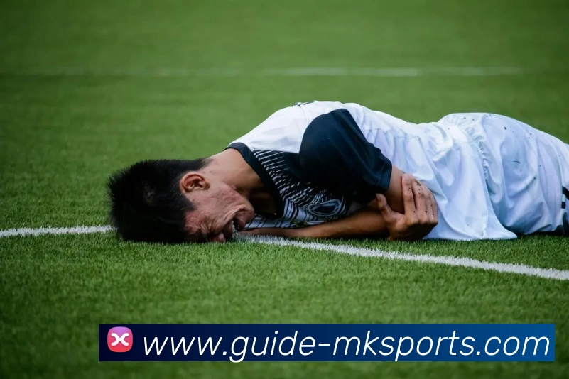 MK体育平台生态图