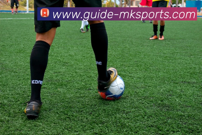 MK体育全站App MK体育全站App